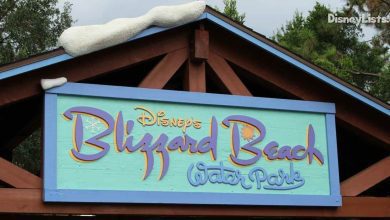 Blizzard Beach