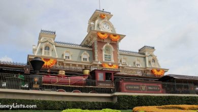 Disney World Railroad