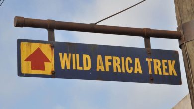 Wild Africa Trek Sign