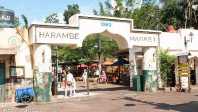 Harambe Market