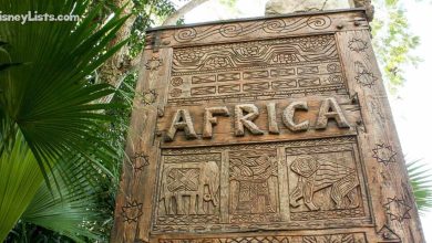 Animal Kingdom Africa