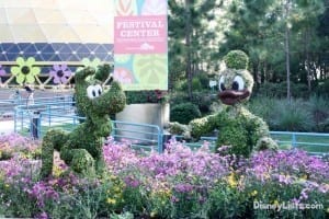 Flower & Garden Topiary