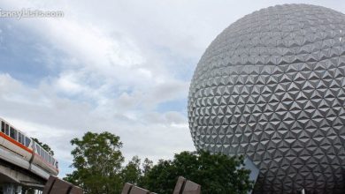 Epcot