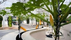 The Land Greenhouse