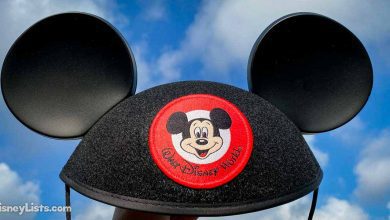 10 Most Practical and Useful Disney World Souvenirs –