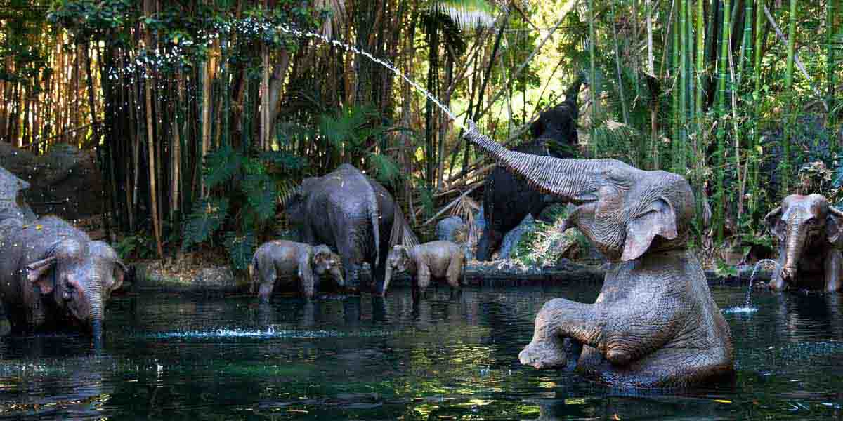 jungle cruise disney movie